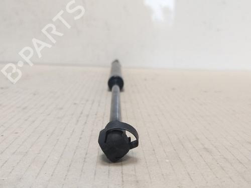 Hood lift support VW CADDY III Box Body/MPV (2KA, 2KH, 2CA, 2CH) 2.0 SDI | BP15532531C139 