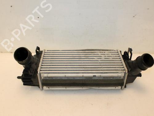 Intercooler FORD FIESTA VI (CB1, CCN) 1.0 EcoBoost | BP15325374M30