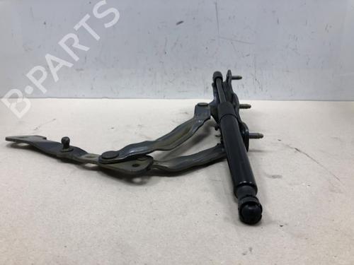 Hinge/Door check strap TESLA MODEL 3 (5YJ3) EV Performance AWD | BP37209945C146 - Image 4