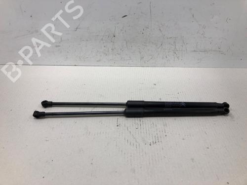 tailgate-lift-support-citroen-c3-iii-sx-2016-37212505 main image