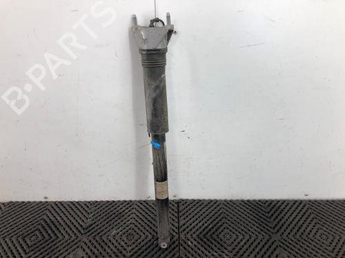 Used Right rear shock absorber Right rear shock absorber 24039594 24039594