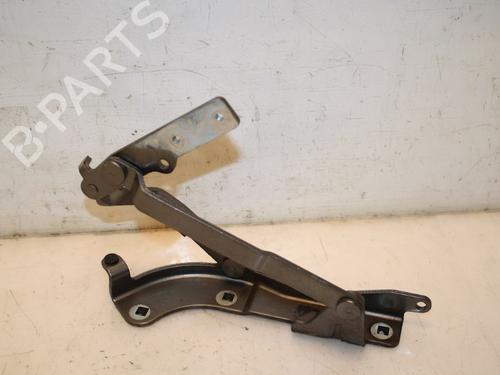 Hinge/Door check strap FIAT 500 (312_) 1.2 (312AXA1A) | BP15335598C146