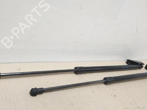 Tailgate lift support NISSAN JUKE (F16_) DIG-T 117 | BP17376565C138
