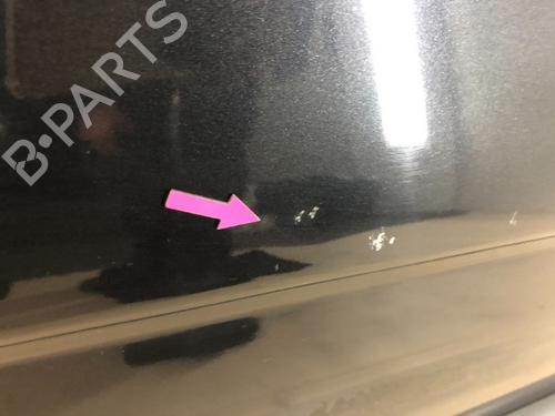 Left front door RENAULT TRAFIC II Van (FL) 2.0 dCi 90 (FL0H) | BP17376574C2 