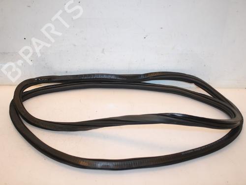 Used Rubber door seal VW TIGUAN (AD1, AX1) 1.4 TSI (125 hp) 15332796