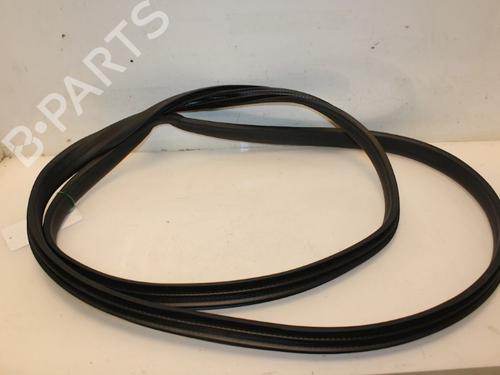 Used Rubber door seal FORD FIESTA VI (CB1, CCN) 1.0 EcoBoost (100 hp) 15325172