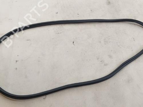 Used Rubber door seal BMW X5 (G05, F95) xDrive M 50 d (400 hp) 17375823