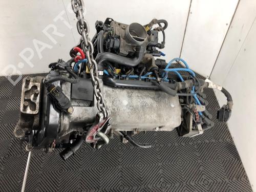 Engine FIAT PANDA (169_) 1.2 (169.AXB11, 169.AXB1A) | BP24841584M1 - Image 5