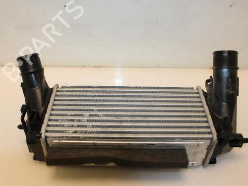 Ladeluftkühler für FORD FIESTA VI (CB1, CCN) 1.0 EcoBoost (100 hp) 15325374