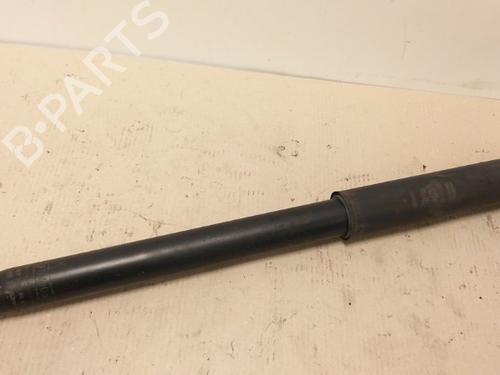 right-rear-shock-absorber-ford-focus-iii-10-ecoboost-6v6116159ab-2010-2011-2012-2013-2014-2015-2016-2017-2018-2019-2020-15339691 main image