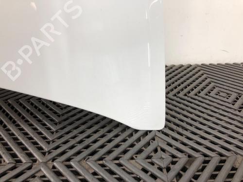 Hood RENAULT CLIO III (BR0/1, CR0/1) 1.2 16V | BP16914902C1 