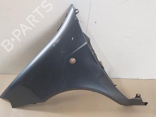 Left front fenders FIAT PUNTO (188_) 1.2 60 (188.030, .050, .130, .150, .230, .250) | BP26688176C41 
