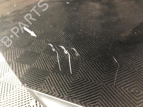 Left rear door NISSAN QASHQAI / QASHQAI +2 I (J10, NJ10, JJ10E) 1.6 | BP22227179C4 