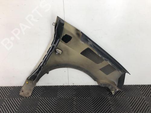 Left front fenders KIA PICANTO I (SA) 1.1 | BP15650480C41 