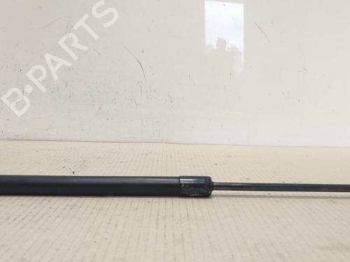 Hood lift support VW CADDY III Box Body/MPV (2KA, 2KH, 2CA, 2CH) 2.0 SDI | BP15532531C139 