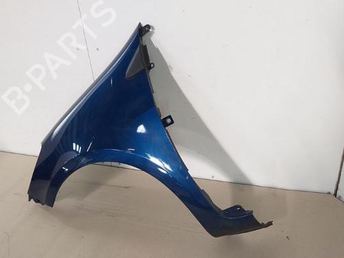 Left front fenders RENAULT CLIO III (BR0/1, CR0/1) 1.2 16V (BR02, BR0J, BR11, CR02, CR0J, CR11) | BP15342760C41 