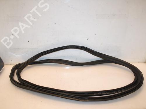 Used Rubber door seal VW TIGUAN (AD1, AX1) 1.4 TSI (125 hp) 15332794