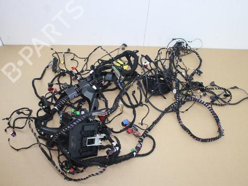 Used Wiring harness Wiring harness 15313846 15313846