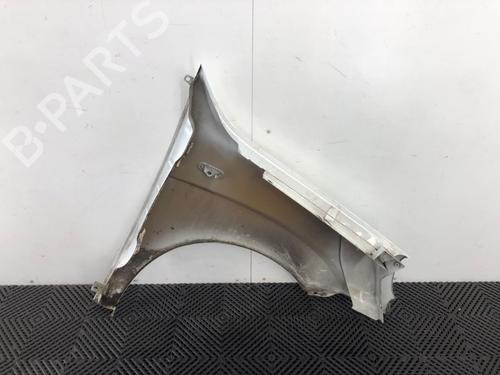 Left front fenders FIAT DOBLO Box Body/MPV (223_) 1.3 JTD 16V Multijet | BP16757199C41 