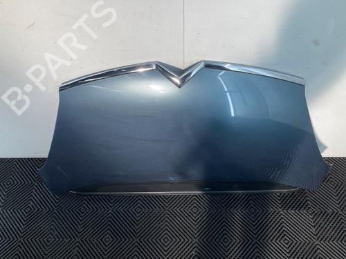Hood CITROËN C4 Grand Picasso I (UA_) 2.0 HDi 138 | BP23123987C1