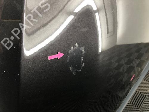 Hood SEAT ALTEA (5P1) 2.0 FSI | BP15538321C1 