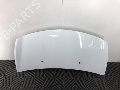 Hood RENAULT CLIO III (BR0/1, CR0/1) 1.2 16V | BP16914902C1 