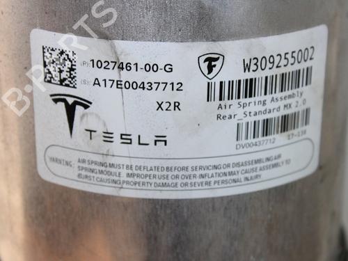 Højre bagtil støddæmper TESLA MODEL X (5YJX) 75D AWD | BP16899092M19 - Image 2