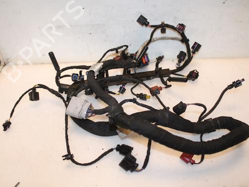 Used Wiring harness VW POLO VI (AW1, BZ1, AE1) 1.6 TDI (95 hp) 15333410