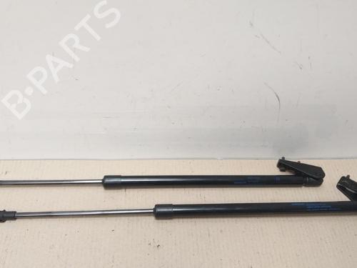 Used Tailgate lift support NISSAN JUKE (F16_) DIG-T 117 (117 hp) 17376565
