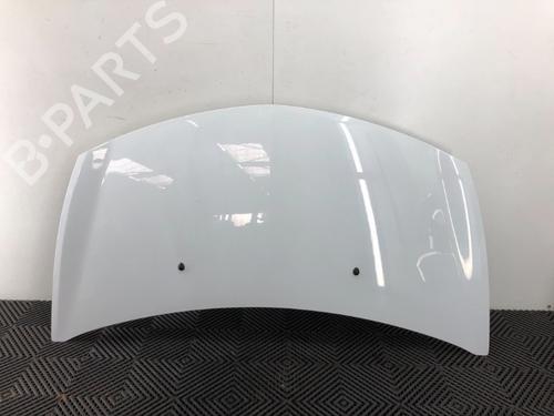 Hood RENAULT CLIO III (BR0/1, CR0/1) 1.2 16V | BP16914902C1 