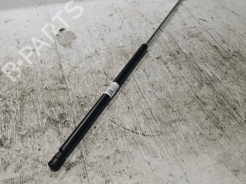 Used Hood lift support Hood lift support AUDI A4 B7 (8EC) 1.6 (102 hp) 33823644 33823644
