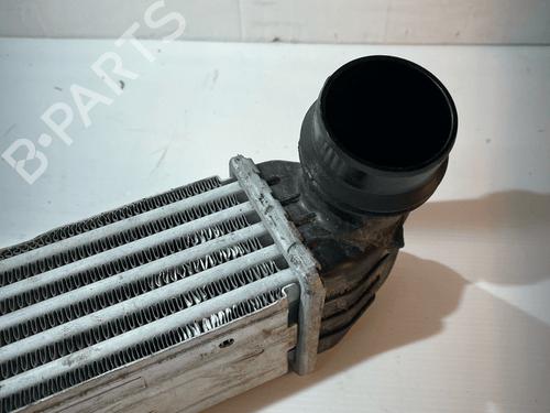 Intercooler MINI MINI COUNTRYMAN (R60) One D | BP33821835M30 - Image 2