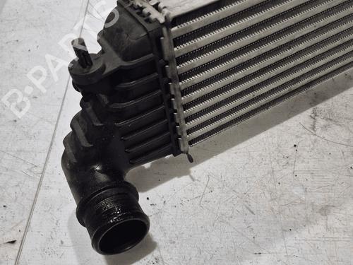 Intercooler FIAT TIPO Hatchback (356_, 357_) 1.6 D (356HXG1B, 356HXG11) | BP33824139M30 - Image 2