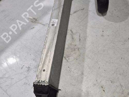 Used Heater matrix Heater matrix FIAT TIPO Hatchback (356_, 357_) 1.6 D (356HXG1B, 356HXG11) (120 hp) 33824139 33824139