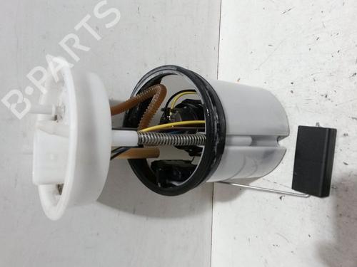 Fuel pump SEAT IBIZA IV (6J5, 6P1) 1.0 | BP29317168M76 