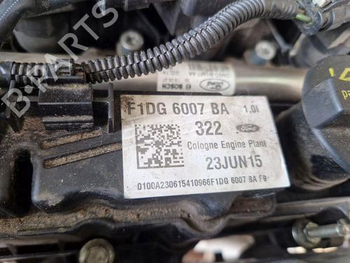 Motor FORD C-MAX II (DXA/CB7, DXA/CEU) 1.0 EcoBoost (100 hp) 32149696