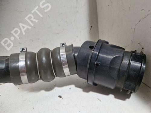 Used Pipe RENAULT MEGANE III Grandtour (KZ0/1) 1.5 dCi (KZ09, KZ0D, KZ1G, KZ29, KZ14, KZ1W, KZ10, KZ1F,... (110 hp) 30658754