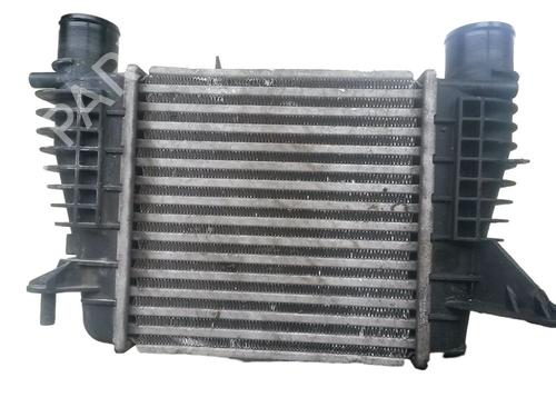 Intercooler RENAULT CLIO III Grandtour (KR0/1_) 1.5 dCi (KR0F) (86 hp) 30639695