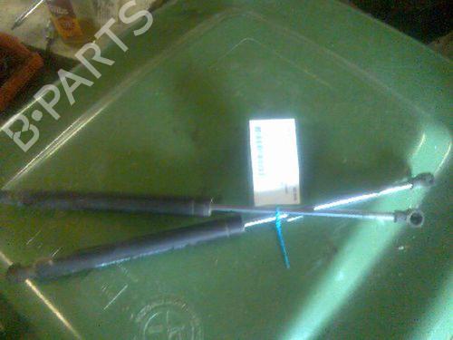 tailgate-lift-support-renault-clio-ii-bb_-cb_-1998-1999-2000-2001-2002-2003-2004-2005-2006-2007-2008-2009-2010-2011-2012-2013-2014-2015-2016-30639623 main image