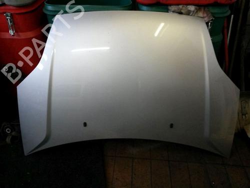 Used Hood FORD FIESTA V (JH_, JD_) 1.25 16V (75 hp) 29316977