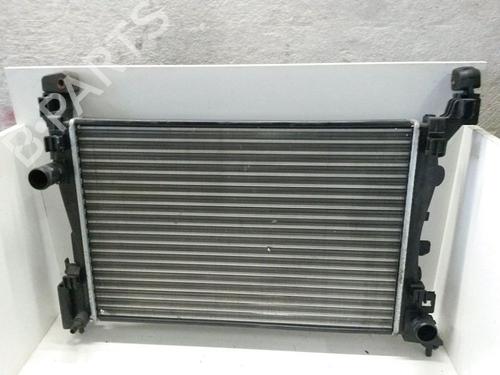 Used Water radiator FIAT PUNTO (199_) 1.2 (199AXZ1A, 199BXZ1A) (69 hp) 25838422