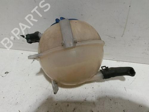 Used Expansion tank SKODA FABIA II Combi (545) 1.2 (70 hp) 25833669