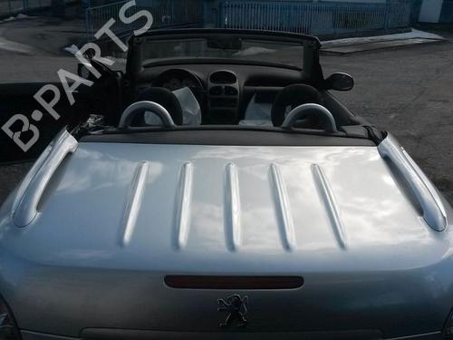 Tailgate PEUGEOT 206 CC (2D) 1.6 16V (2DNFUF, 2DNFUR) | BP15700784C6 