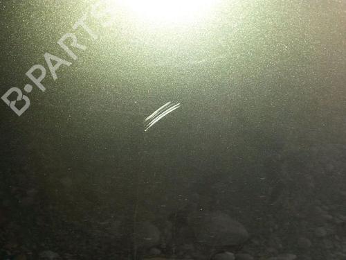 Right rear door AUDI A6 C6 (4F2) 2.0 TDI | BP24177592C5 