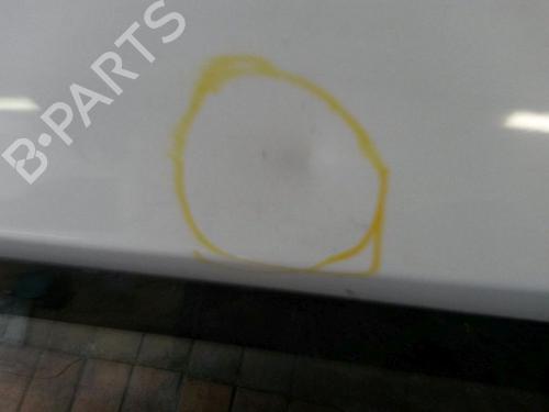 Tailgate DACIA SANDERO 1.2 16V | BP18480978C6 