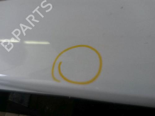 Tailgate DACIA SANDERO 1.2 16V | BP18747982C6 