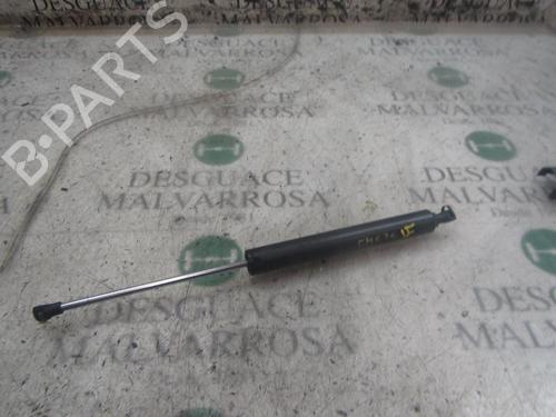Used Hood lift support RENAULT VEL SATIS (BJ0_) [2002-2025]  14274119