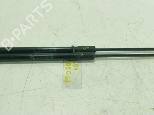 tailgate-lift-support-citroen-c3-iii-sx-2016-27490985 main image