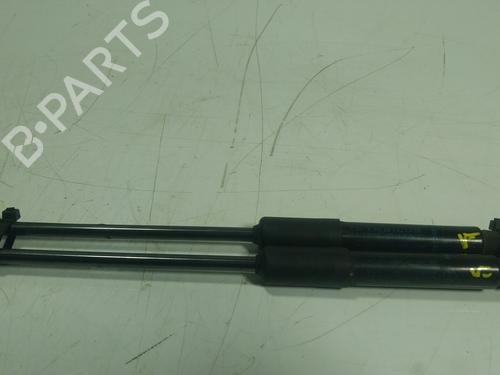 Used Hood lift support RENAULT TRAFIC III Van (FG_) 2.0 dCi 120 (FGMN) (120 hp) 25301207