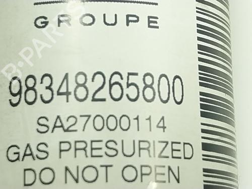 Højre bagtil støddæmper PEUGEOT 208 II (UB_, UP_, UW_, UJ_) e-208 | BP25031432M19 